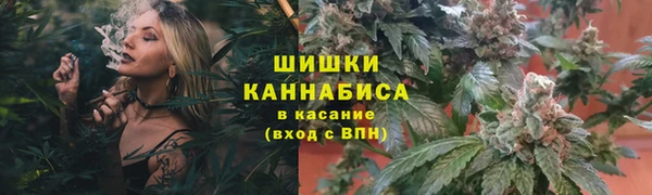 гидра Тутаев