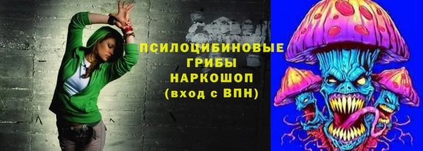 а пвп мука Гусиноозёрск